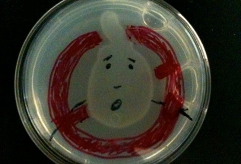 Ghostbusters